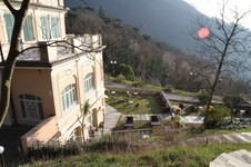 Enlarge photo 301