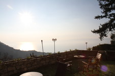 Enlarge photo 310