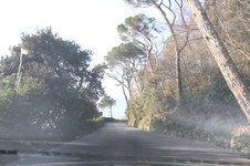 Enlarge photo 326