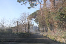 Enlarge photo 327