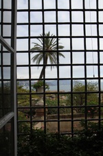 Enlarge photo 43