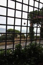 Enlarge photo 52
