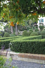 Enlarge photo 59