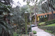 Enlarge photo 72