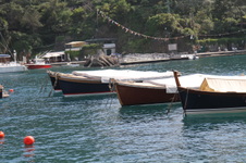 Enlarge photo 37