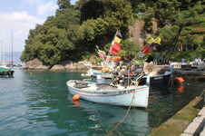 Enlarge photo 55