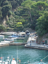 Enlarge photo 113