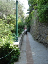 Enlarge photo 135