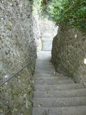 Enlarge photo 136
