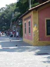 Enlarge photo 138