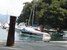 Enlarge photo 143