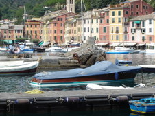 Enlarge photo 147