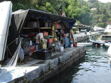 Enlarge photo 154