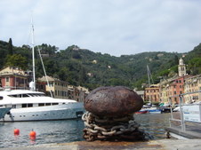 Enlarge photo 161