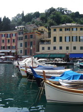 Enlarge photo 163