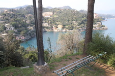 Enlarge photo 62