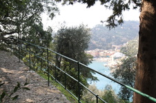 Enlarge photo 64