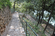 Enlarge photo 66