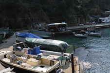 Enlarge photo 69