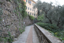 Enlarge photo 70