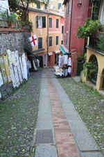Enlarge photo 71
