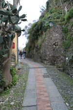 Enlarge photo 72