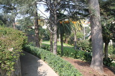 Enlarge photo 16