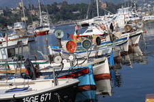 Enlarge photo 6