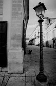 Enlarge photo 34