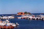 Enlarge photo 13