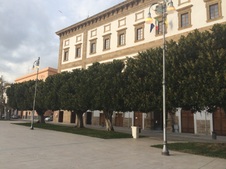 Enlarge photo 15