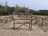Enlarge photo 41