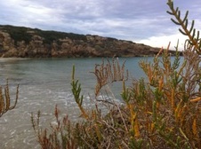 Enlarge photo 12