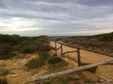 Enlarge photo 24