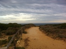 Enlarge photo 25