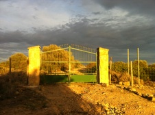 Enlarge photo 32