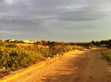 Enlarge photo 34