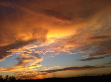 Enlarge photo 35