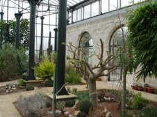 Enlarge photo 17