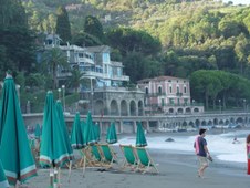 Enlarge photo 39