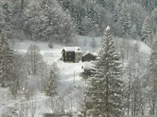 Enlarge photo 46