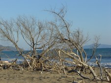 Enlarge photo 53
