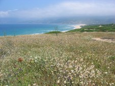 Enlarge photo 56