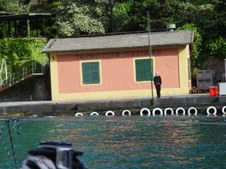 Enlarge photo 62