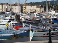 Enlarge photo 24