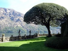 Enlarge photo 30