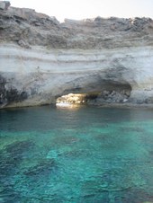 Enlarge photo 37