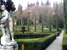 Enlarge photo 54