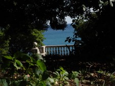 Enlarge photo 58