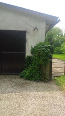 Enlarge photo 21